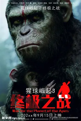 独立音乐分享会圈子
